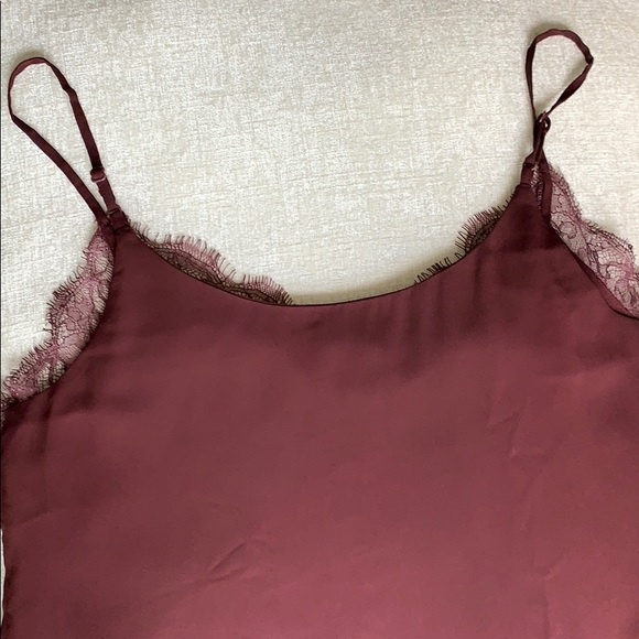 Aritzia Babaton Lace Camisole - Picture 5 of 7